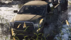 Bison vehicle reference