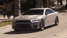 Buffalo STX vehicle reference