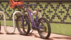 Scorcher vehicle reference