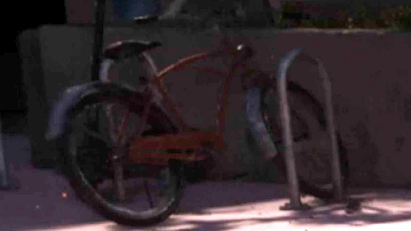 Cruiser