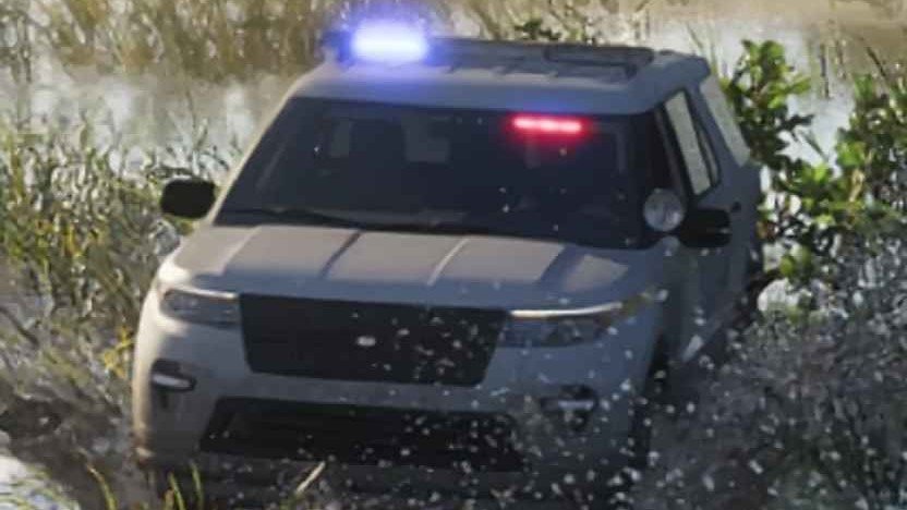 Police Montagne